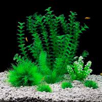 Растение в ассортименте группа 2