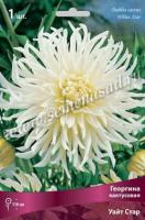 Георгина кактусовая Уайт Стар (I) 1 шт