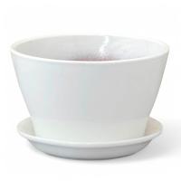 Кактусник Беллита глянец бел 12см 0,45л 901/1 