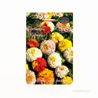 Цинния Карнавал смесь 20*1  Цинния Карнавал смесь 20*1