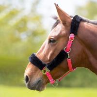 Инструмент Недоуздок д/лошадей SHIRES FULL флис розовый (Великобритания)