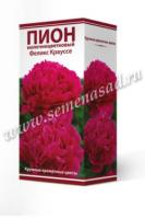 Пион молочноцветковый Феликс Крауссе (1шт,2-3) 