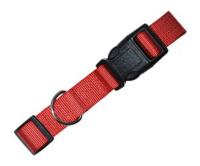 Ошейник нейлоновый цветной 2,5*40*55см/ТОК4/Евро