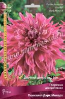 Георгина декоративная Пеннхилл Дарк Монарх (I) 1 шт