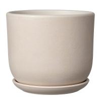 Замша белый бук №2 1,6л