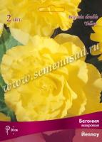 Бегония Махровая Йеллоу (5/6) 1 шт 