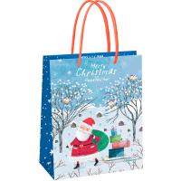 Пакет подарочный 18*23*10см "Christmas" мат. ламинация MESHU/Рельеф