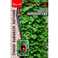 Редкие растения Кирказон манчжурский 20шт 