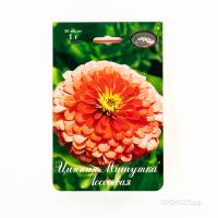 Цинния Мишутка лососевая 20*1 Цинния Мишутка лососевая 20*1