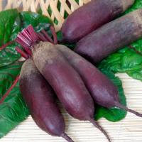 Сем Алт ч/б Свекла Цилиндра 2г 