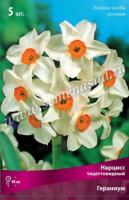 Нарцисс Тацеттовидный Гераниум (12/14) 5шт.