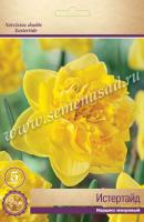 Нарцисс Махровый Истертайд (ярко-жёлтый, густомахровый, 3шт, 12/14) 833071