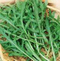 Двурядник тонколистный (индау, рукола) Покер 1г НК