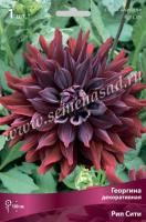 Георгина декоративная Рип Сити (I) 1 шт 