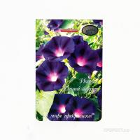 Ипомея Синий бархат 20*1 