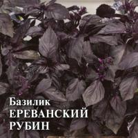 Базилик Ереванский рубин 10,0 г