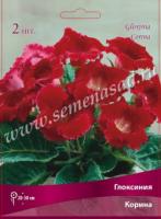 Глоксиния Корина (5/6) 1 шт