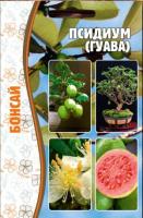 Псидиум (Гуава) 10 шт (Бонсай)