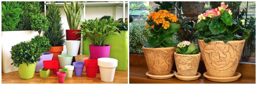 пластиковые-горшки.jpg