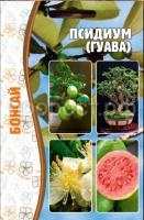 Псидиум (Гуава) 10 шт (Бонсай) Псидиум (Гуава) 10 шт (Бонсай)