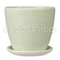 Гнездо зеленый крокус