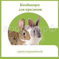 КРОЛИК КРОЛИК