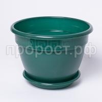 IMG_9444 IMG_9444