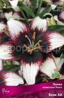 Лилия азиатская Танго Блэк Ай Лилия азиатская Танго Блэк Ай