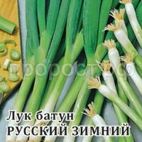 Лук Батун Русский Зимний 10 г Лук Батун Русский Зимний 10 г