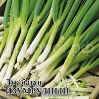 Лук Батун Изумрудный 10 г Лук Батун Изумрудный 10 г