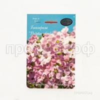 Гипсофила розовая Розовое облако 201 Каприс Гипсофила розовая Розовое облако 201 Каприс