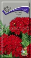 Лихнис Красный