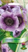 Глоксиния Харизма Лавандовая Глоксиния Харизма Лавандовая