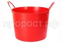 2880 и 2881 2880 и 2881