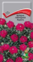Вербена гибридная Маджента