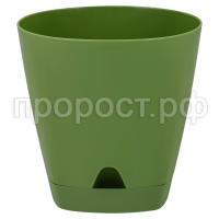 амстердам ол