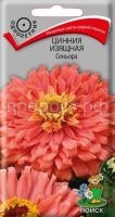 Цинния изящная Сеньора