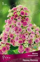 s2mvt2tv118cwd7ra5ik35eowmdnp4i7