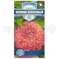 великан лососевый