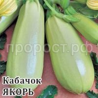 Кабачок Якорь 25 г