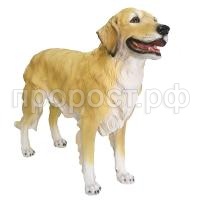 ретривер ретривер