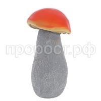 Подосиновик мал