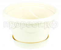 верона 1,5 пес верона 1,5 пес