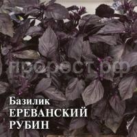 С147988 С147988