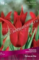 Питер де Лёр