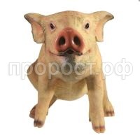 сняпка без пятен сняпка без пятен