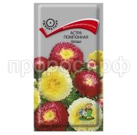 Астра-помпонная-Наташа-0,3г-Поиск