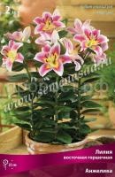 НоменклатураПрисоединенныеФайлы НоменклатураПрисоединенныеФайлы