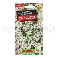 алиссум ковер медонос