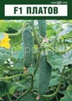 Без названия